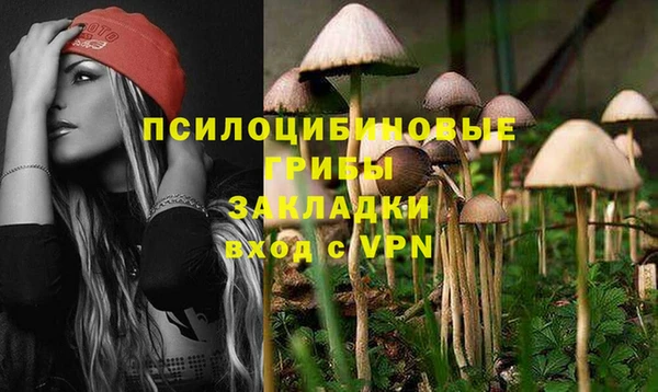 меф Приозерск