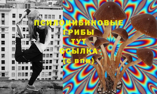 герыч Алексин