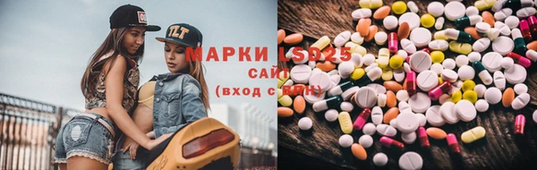 ECSTASY Алзамай