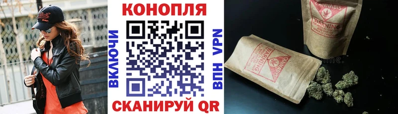 Конопля план  купить   Сибай 